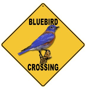 Bluebird Crossing